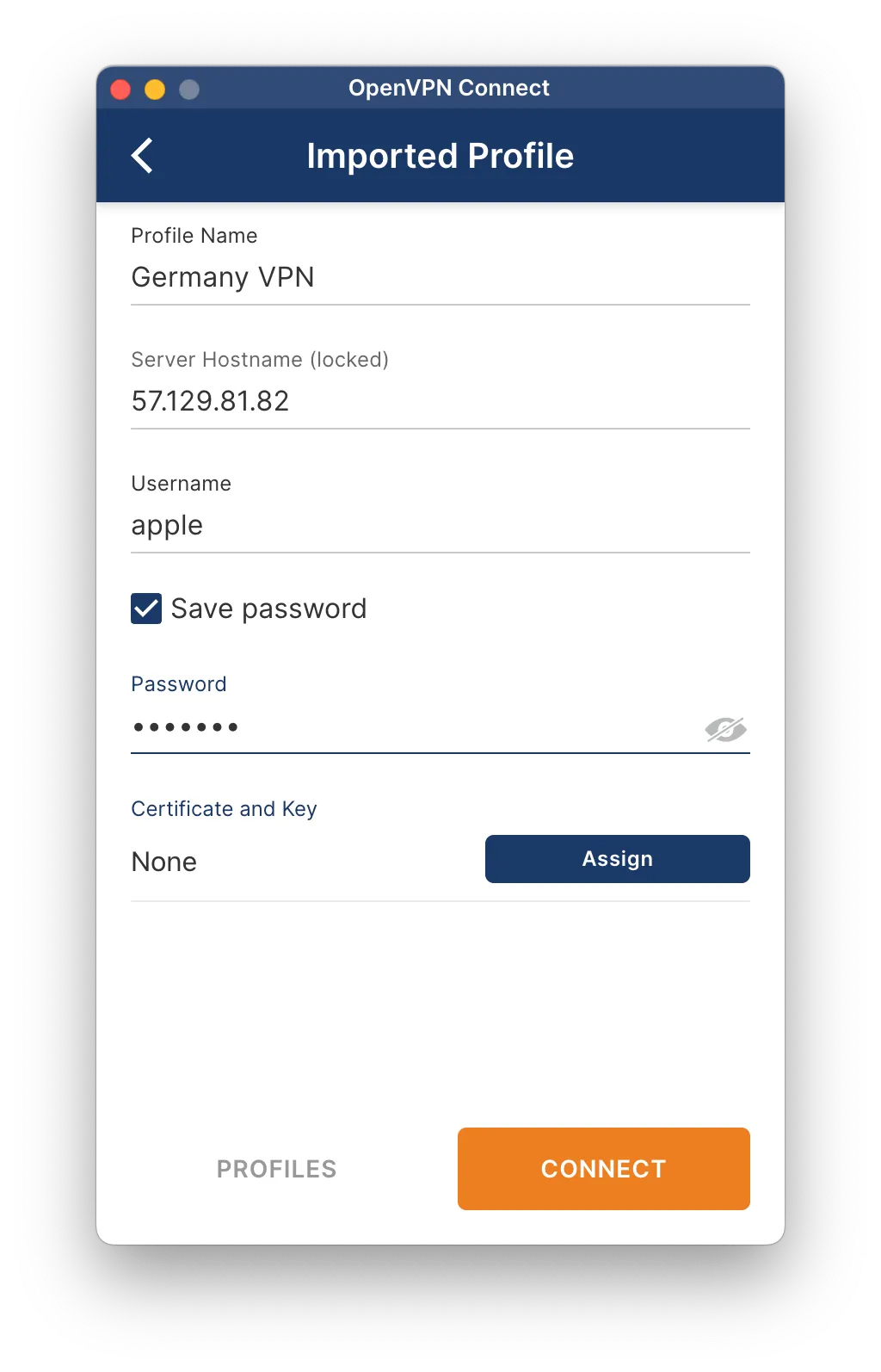 Enter VPN username and password