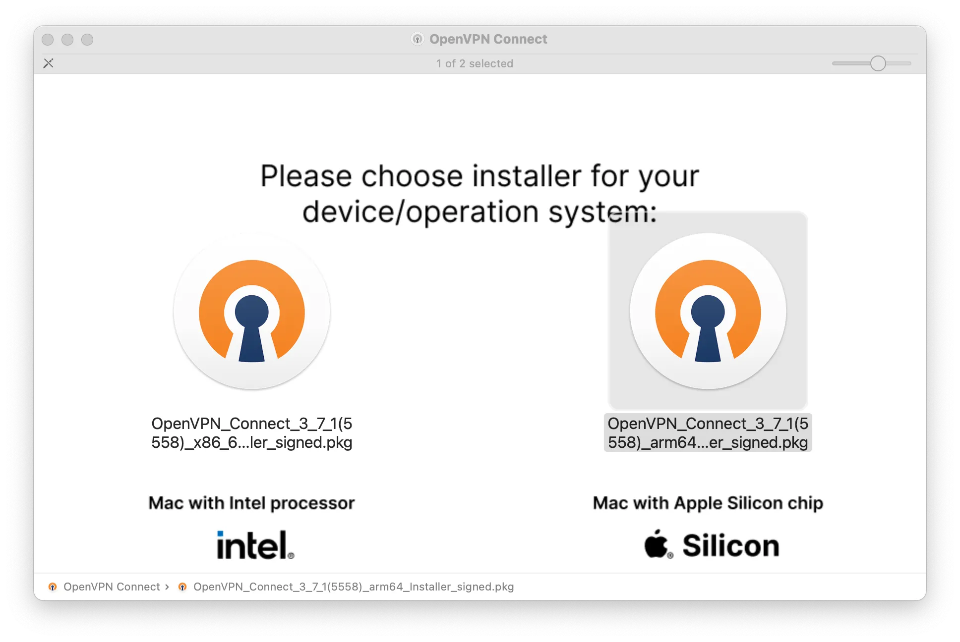 Download OpenVPN Connect for your Mac architecture